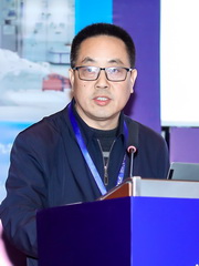 中國冶金礦山企業協會總工程師 雷平喜